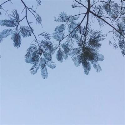 破晓第一战游戏