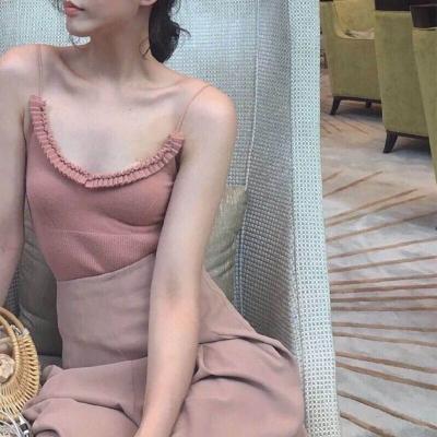 天才宠物美容院游戏下载